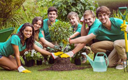 Save tree