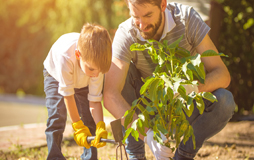 father and son planting